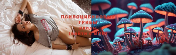 соль курить ск Богданович