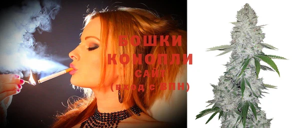 дживик Белокуриха