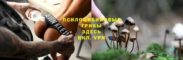 соль курить ск Богданович
