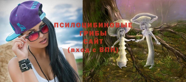 соль курить ск Богданович